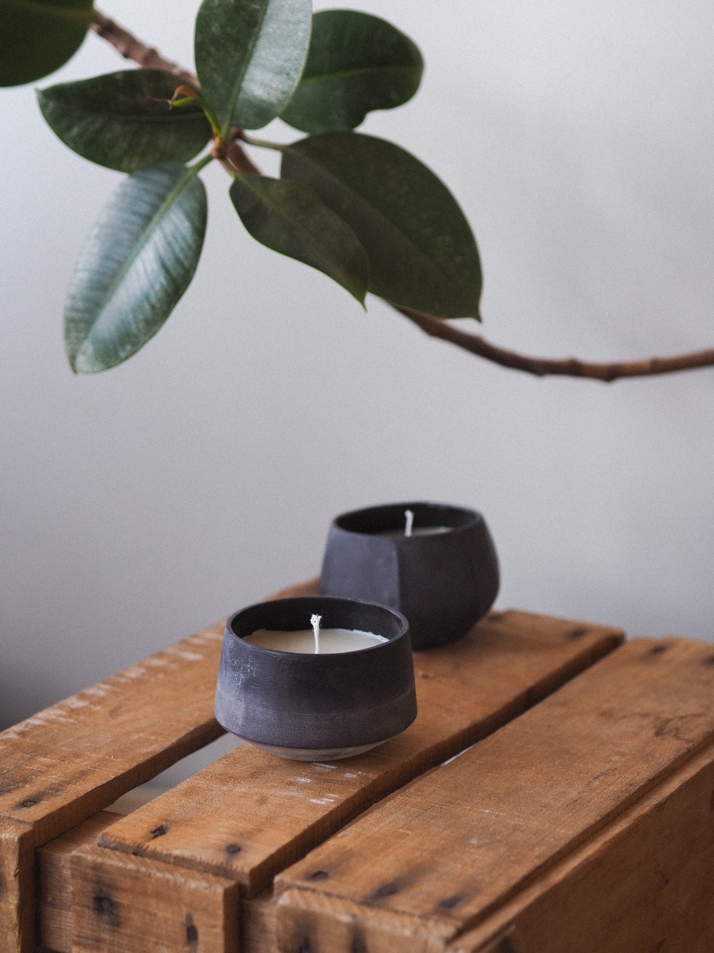 Scented candles | Koku