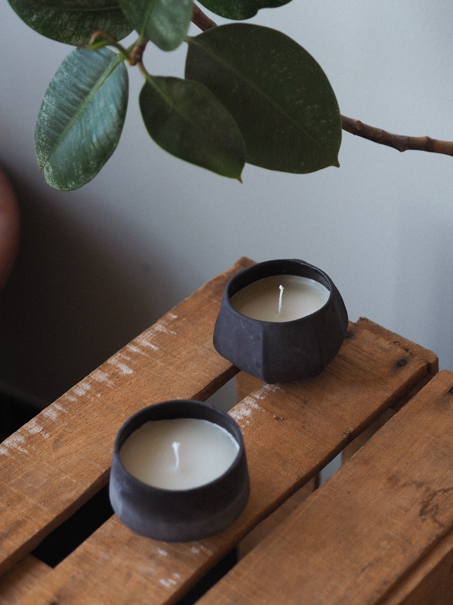 Scented candles | Koku