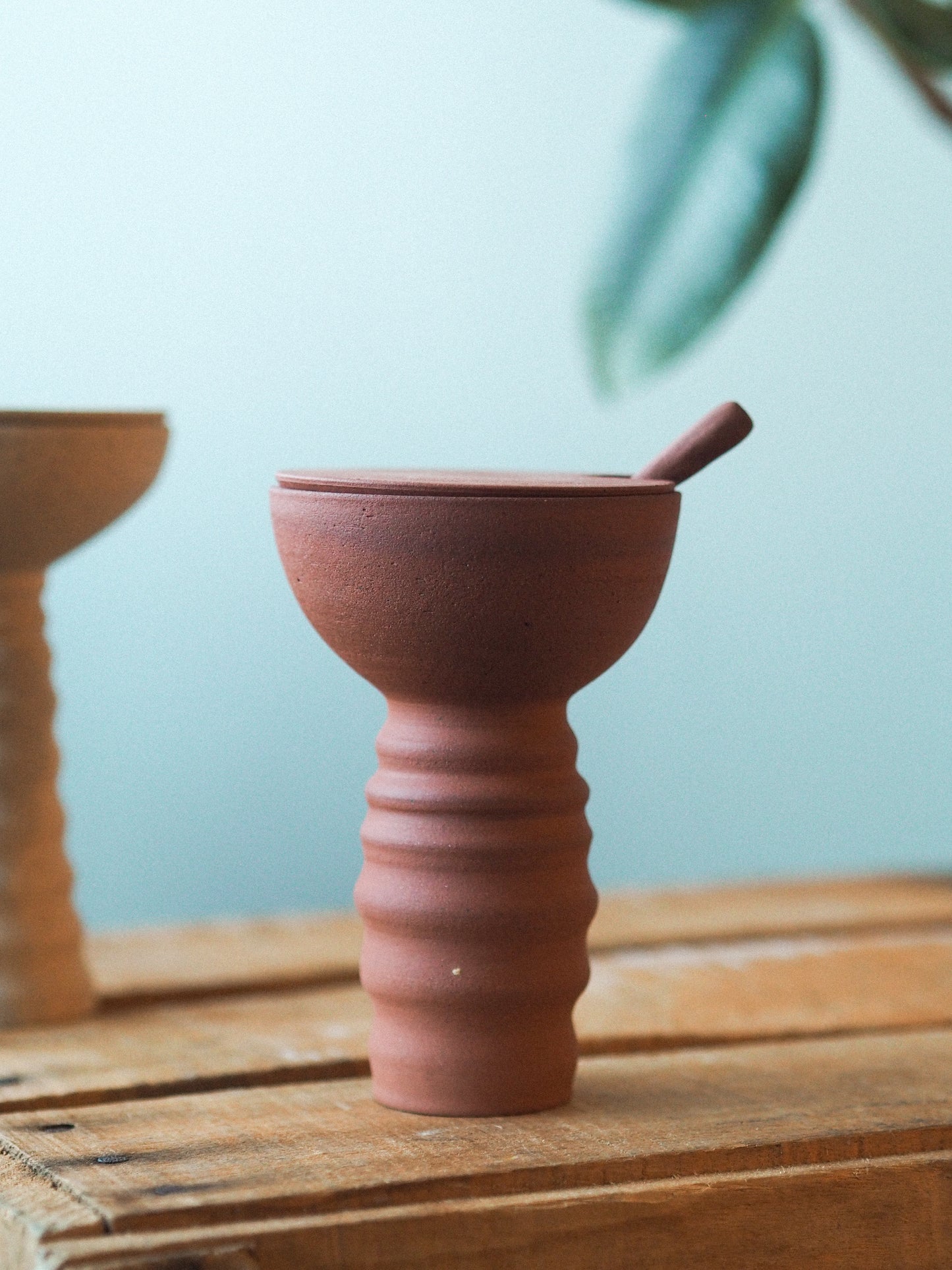 Herb pot | Bitki - Terracotta